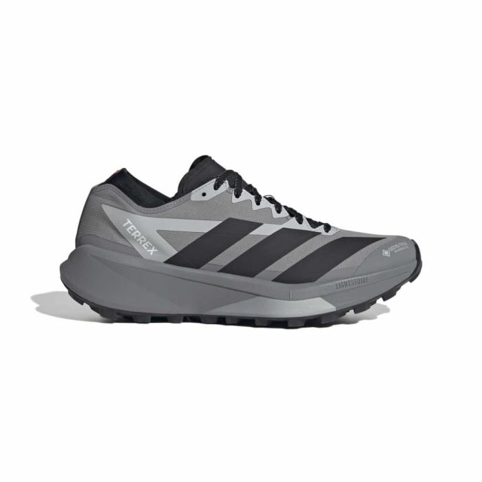 Terrex Agravic GTX 2