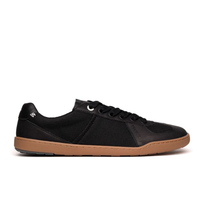 BLSN-204W