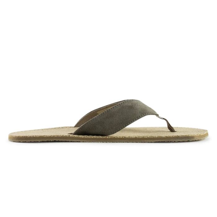 Terrar Toe