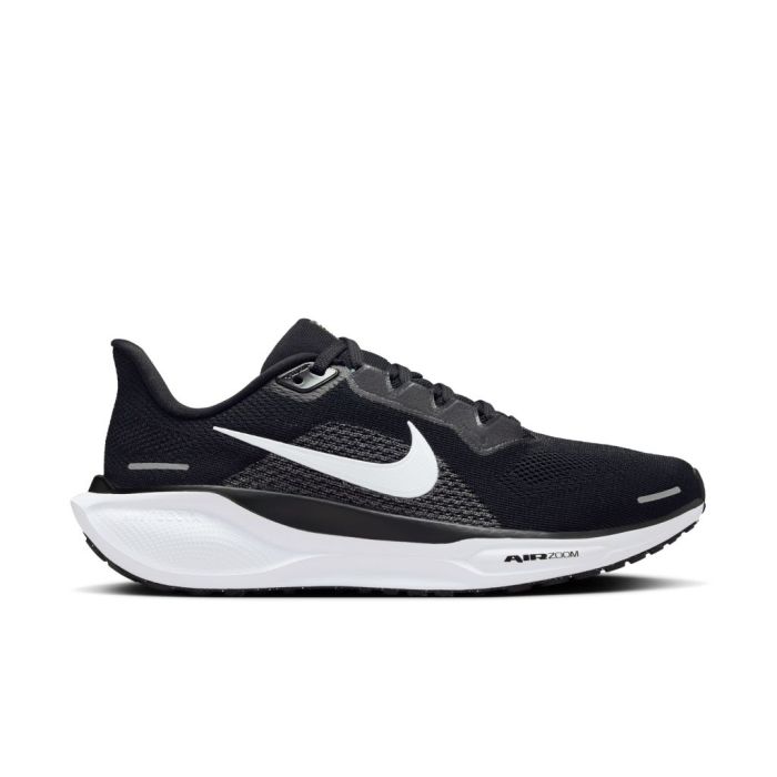 Pegasus 41