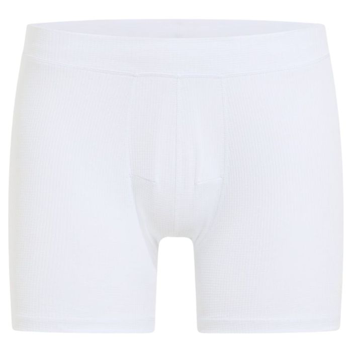Active Light Boxer