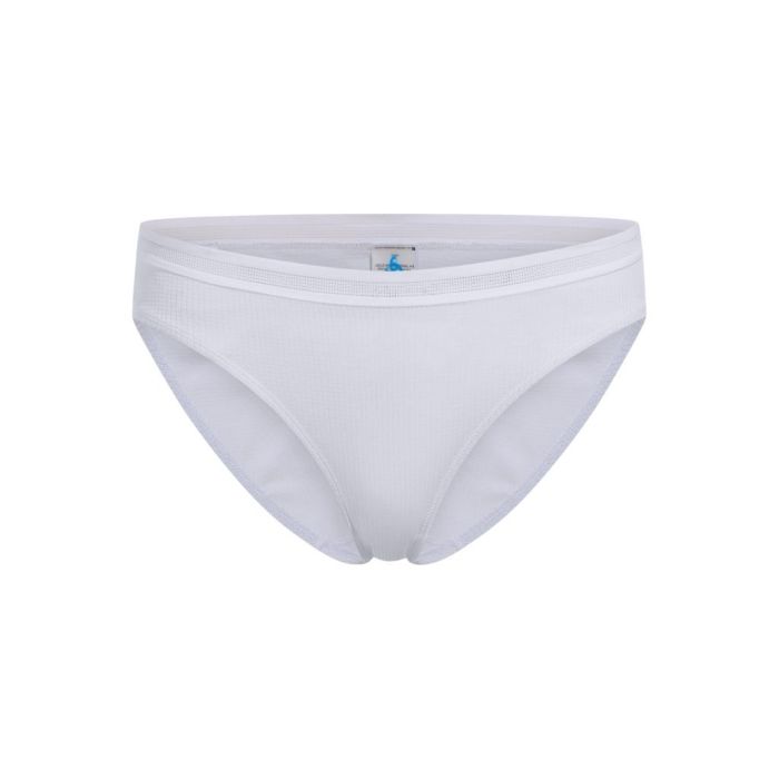 Active Light Brief