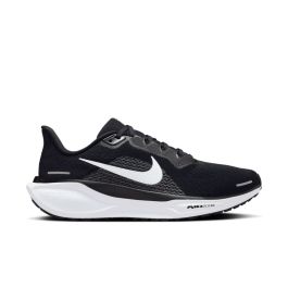 Pegasus 41